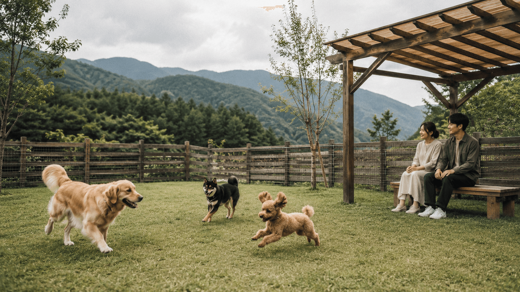 室外Dog Run草坪跑场